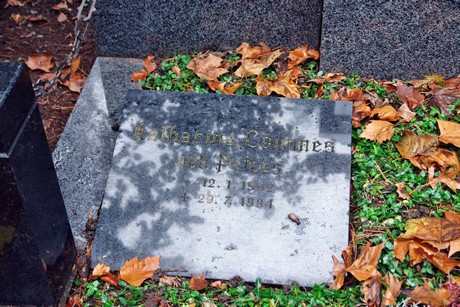suedfriedhof