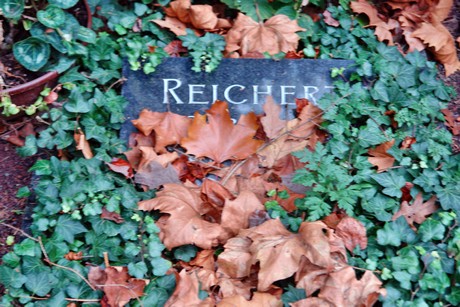 suedfriedhof