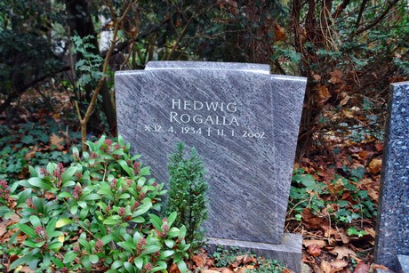 suedfriedhof
