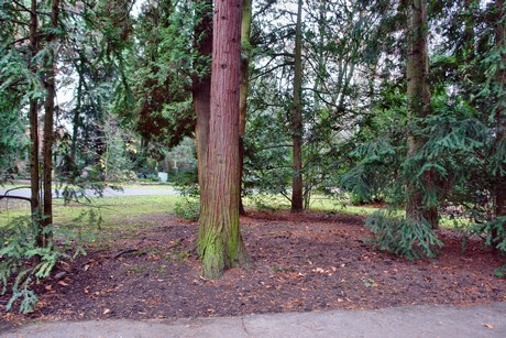 Südfriedhof