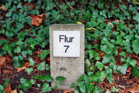 suedfriedhof