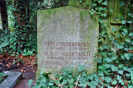 suedfriedhof