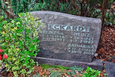 suedfriedhof