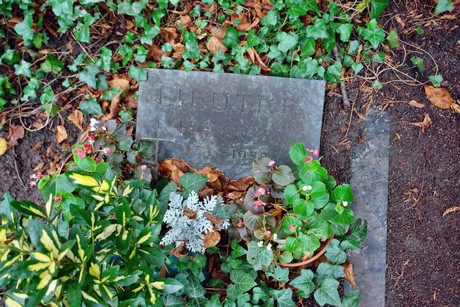 suedfriedhof
