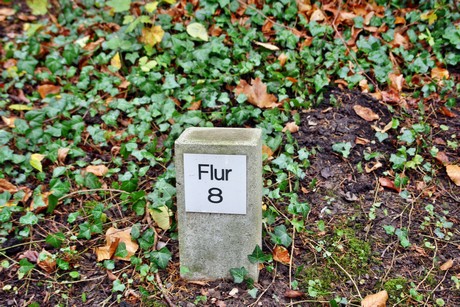 suedfriedhof