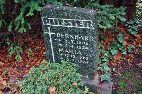 suedfriedhof