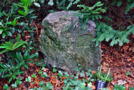 suedfriedhof