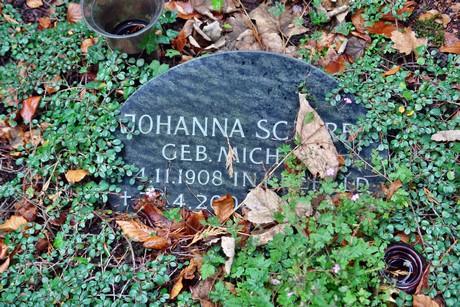 suedfriedhof