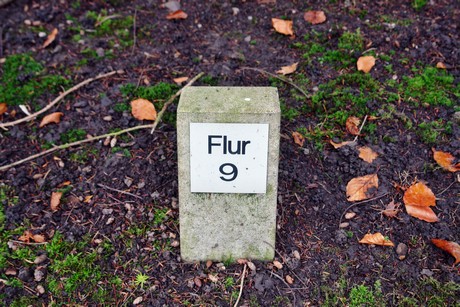 suedfriedhof-####
