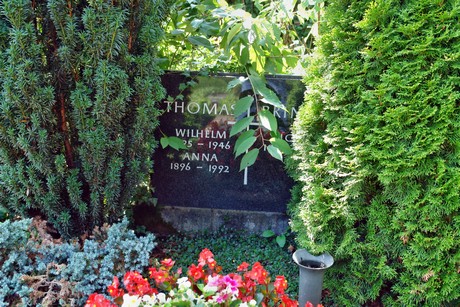 friedhof-suerth