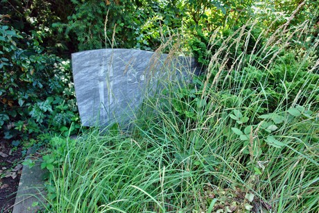 friedhof-suerth