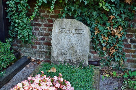 friedhof-suerth