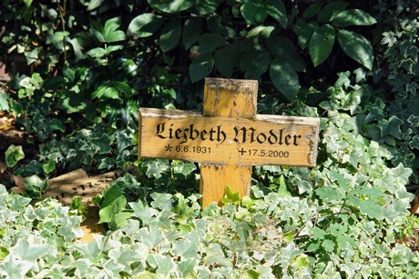 friedhof-suerth