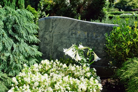 friedhof-suerth