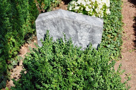 friedhof-suerth