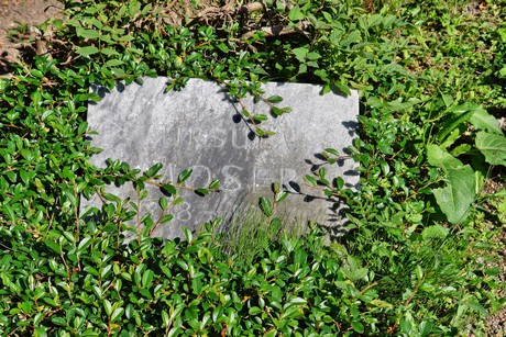 friedhof-suerth