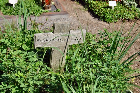 friedhof-suerth