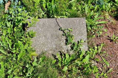 friedhof-suerth