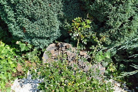 friedhof-suerth