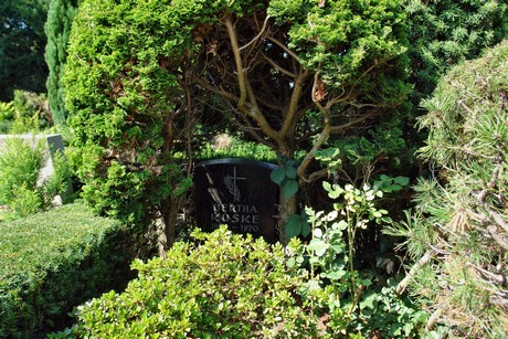 friedhof-suerth