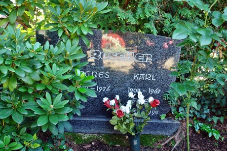 friedhof-suerth