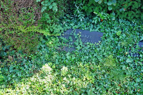 friedhof-suerth