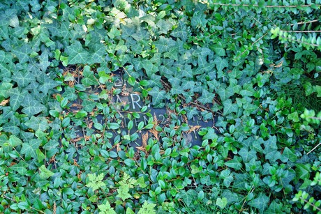 friedhof-suerth