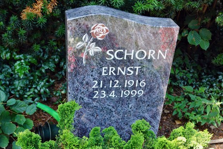 friedhof-suerth