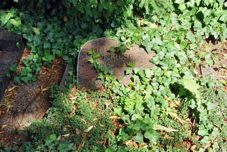 friedhof-suerth