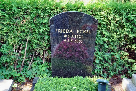 friedhof-suerth