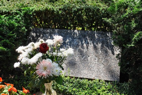 friedhof-suerth