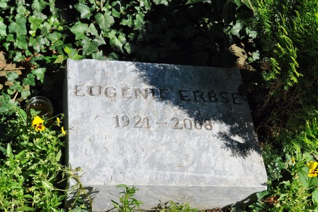 friedhof-suerth