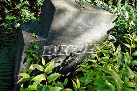friedhof-suerth