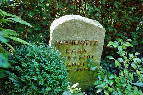 friedhof-suerth