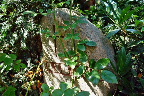 friedhof-suerth