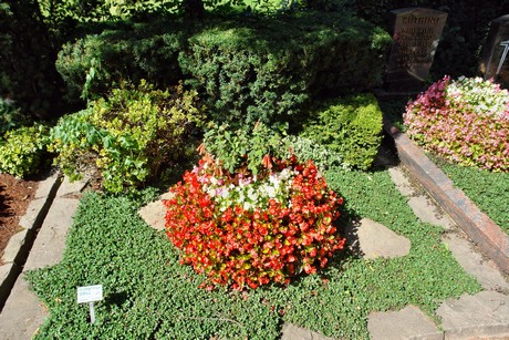 friedhof-suerth