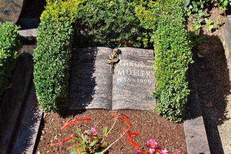 friedhof-suerth