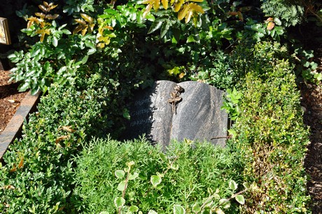 friedhof-suerth