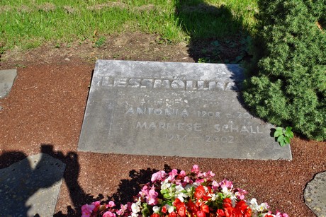 friedhof-suerth