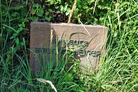 friedhof-suerth