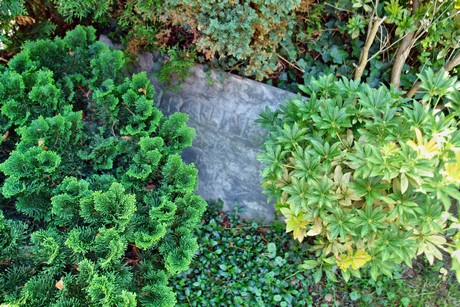 friedhof-suerth