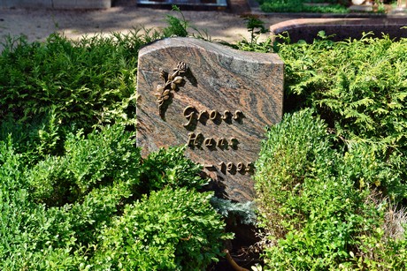 friedhof-suerth