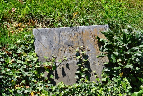 friedhof-suerth