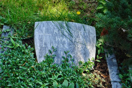 friedhof-suerth