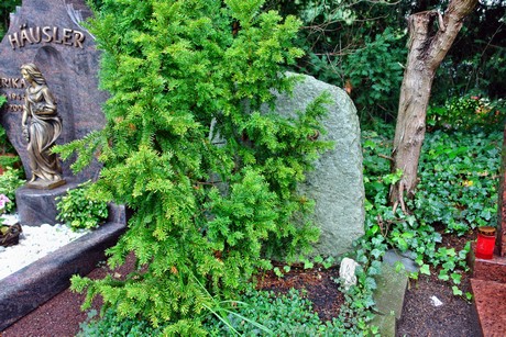 friedhof-suerth