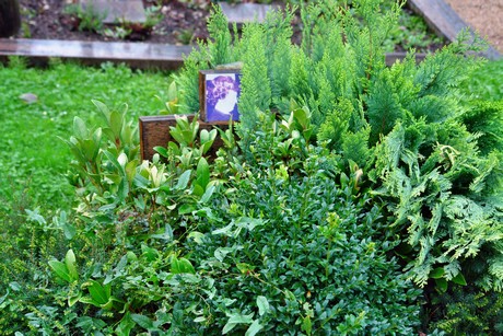 friedhof-suerth