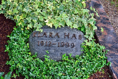 friedhof-suerth
