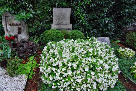 friedhof-suerth