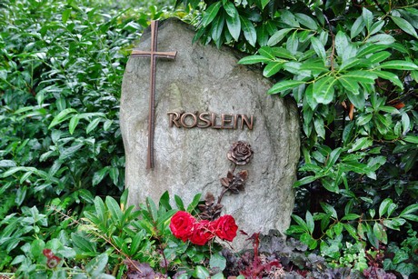 friedhof-suerth