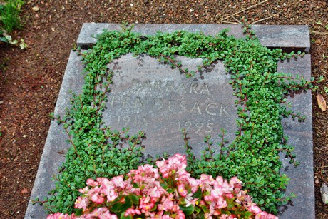friedhof-suerth